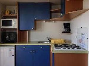 Mobil home confortable avec terrasse - API-1-52-1115