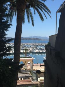 Appartements Bandol Port & Plage : photos des chambres