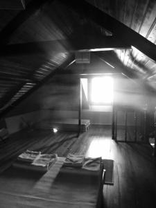 Aiola Duplex Eco-friendly