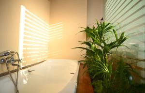 Acropolis View Luxury Penthouses - Kolonaki