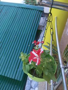 Morning Mist Home stay