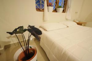 Thulir Homestay - 2Br Gr with Kitchen & Garden