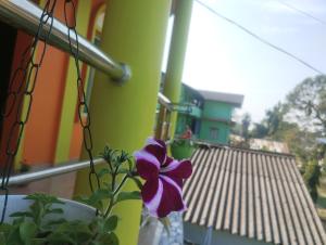 Morning Mist Home stay