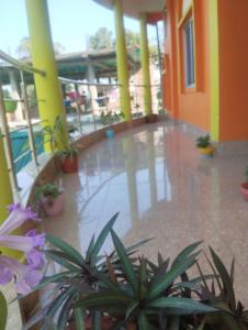 Morning Mist Home stay