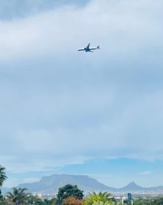 Bonita Vista Plattekloof