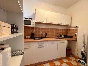 Podzámčí - útulný byt na nábřeží pod zámkem