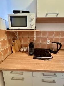 Podzámčí - útulný byt na nábřeží pod zámkem