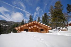 Appart'hotels Le Couaroge Chalets et Appartements : photos des chambres