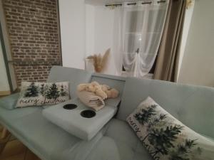 Le Nid Douillet à 1h de Paris-Gare à 5 min à pied, logement entier