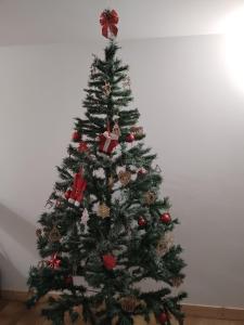 Le Nid Douillet à 1h de Paris-Gare à 5 min à pied, logement entier