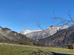 Ferienwohnung Naturblick
