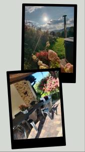 Agroturystyka pod Baranią Gorą