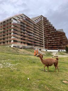 T2 appartement au pied des pistes