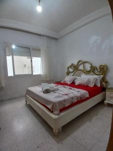 cozy appartement D6