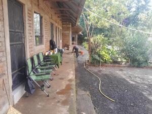 Vervet Monkey Homestay