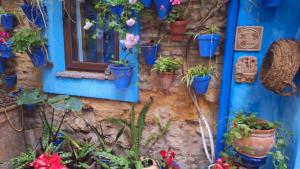 El patio azul Bohemio Mágico