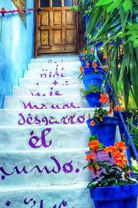 El patio azul Bohemio Mágico