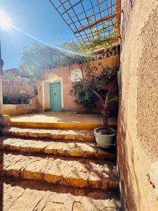 Les Jardins du Mgoun