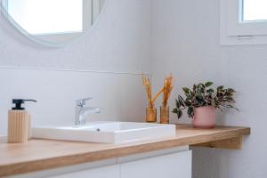 Large terrace, close to Europapark, pets ok