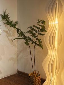 903 Peach Room - Amoureux Homestay