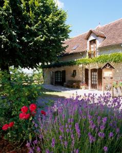 Belveyre Rocamadour, Apartmanok - Rocamadour