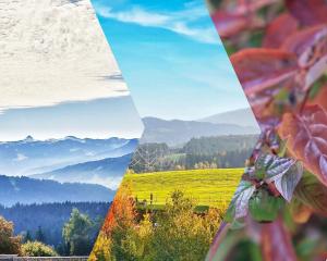 RELAX - APPARTEMENTS, Allgäu