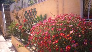 Trizinia View Poros-Island Greece