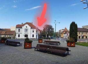 Loft bed central studio