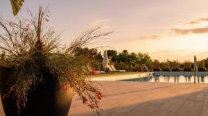 NEW! Luxury 3BR apartment with POOL & FREE parking