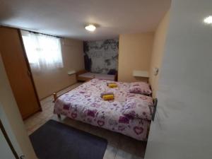 One Bedroom Apartment With Terrace A1