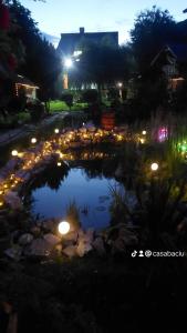 Casa Baciu, Ciungetu-Vâlcea