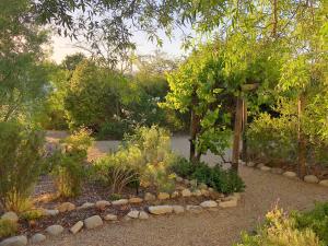 Eensgevonden Vineyard Cottages