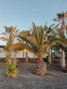 Asulito 400 m2 house with pool