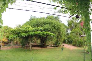 Wadula Resort