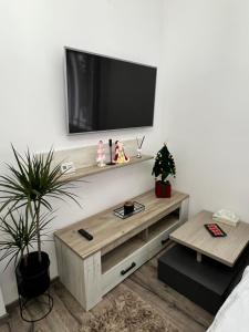 Central Cozy Apartament