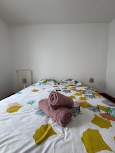 Grand appartement avec terrasse Effeil Tower