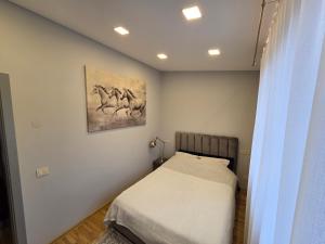 Jaukus butas Panemunėje su vaizdu į Nemuną