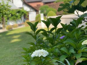 Luxe Vacation Villa with swimming pool, 5 bedrooms