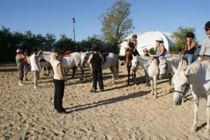 ZEcamping 4 familial animaux acceptés avec piscine et soirées animées