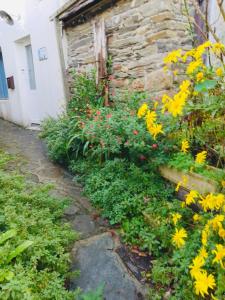 Ker Elisa 4 pers Maison de pêcheur à 50 m de la mer
