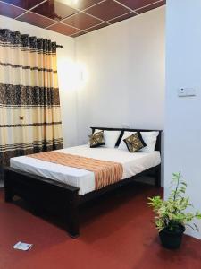 Shereen Sigiri Homestay