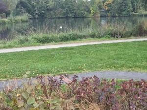 Lakeside house rental - maison bord de lac