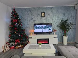 Luxury BROthers Apartment