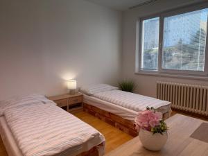 Turistická Ubytovňa Strojár