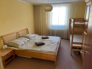 Gemütliches Apartment in Top-Lage - 250 m zum Lift, nahe Zentrum