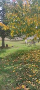 Tsigaridas Mountain Home