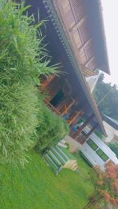 Jackroot Athirapilly Villas