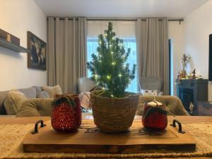 Vila Ferdinand Spa and Retreat