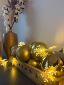 Vila Ferdinand Spa and Retreat