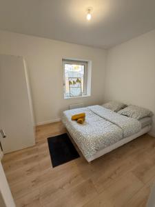 2 Quai Charles Altorffer - 2E